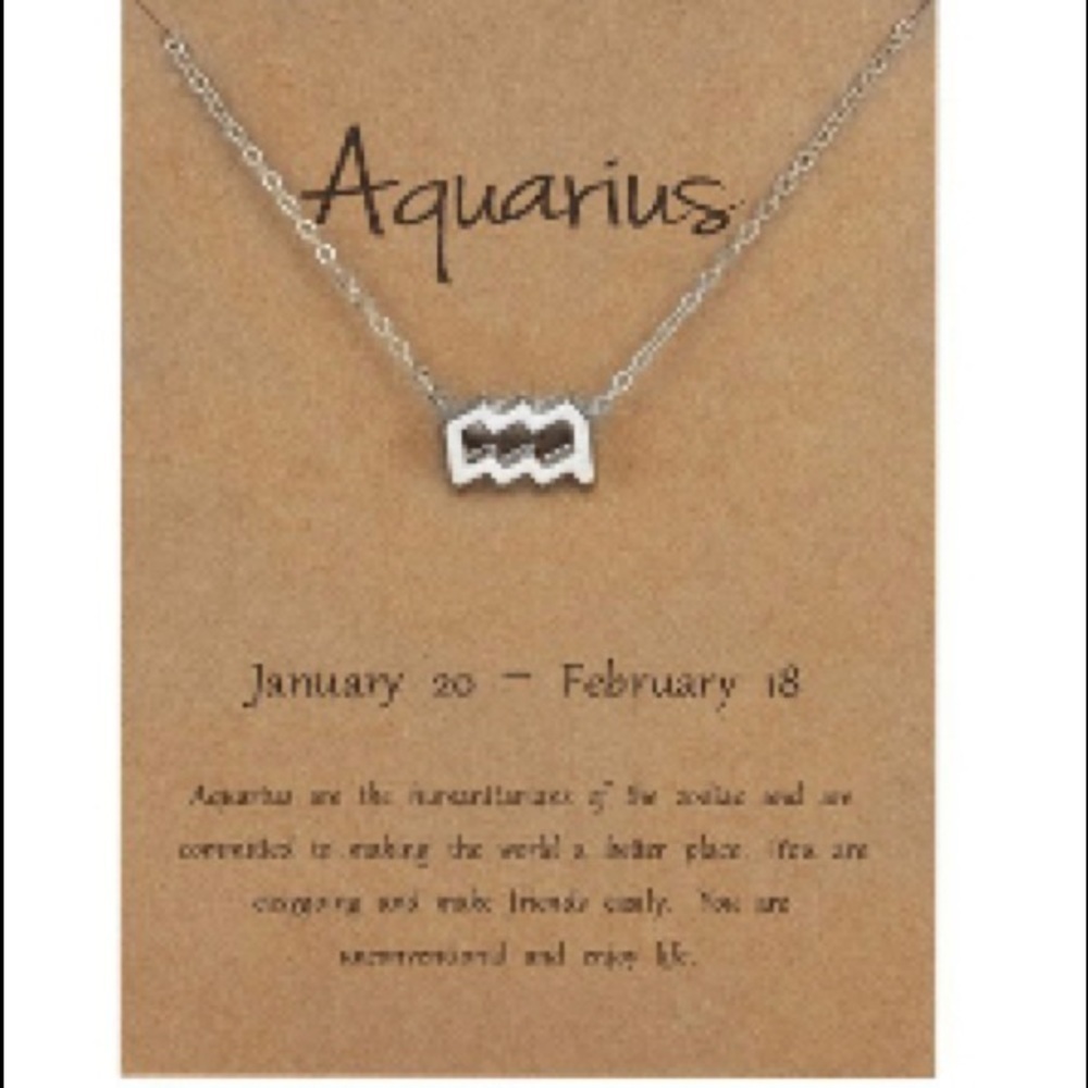 Aquarius Symbol Silver Necklace